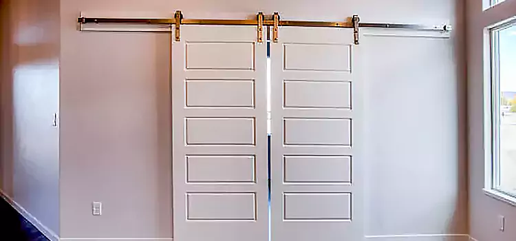 Glass Barn Door with Installation Hardware Kit Suffolk